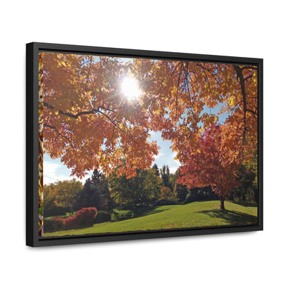 Autumn Light Gallery Canvas Wrap Framed