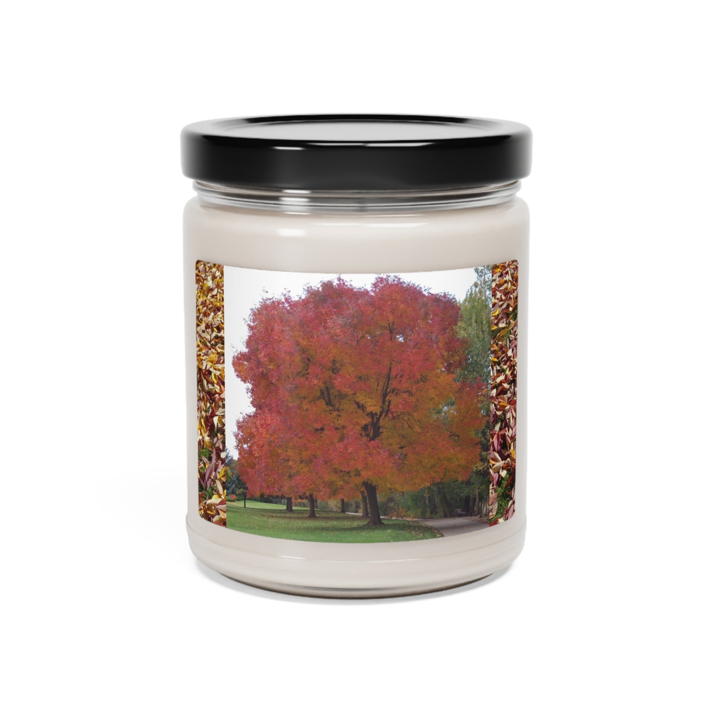 Autumn Tree Mid Fall Scented Soy Candle, 9oz