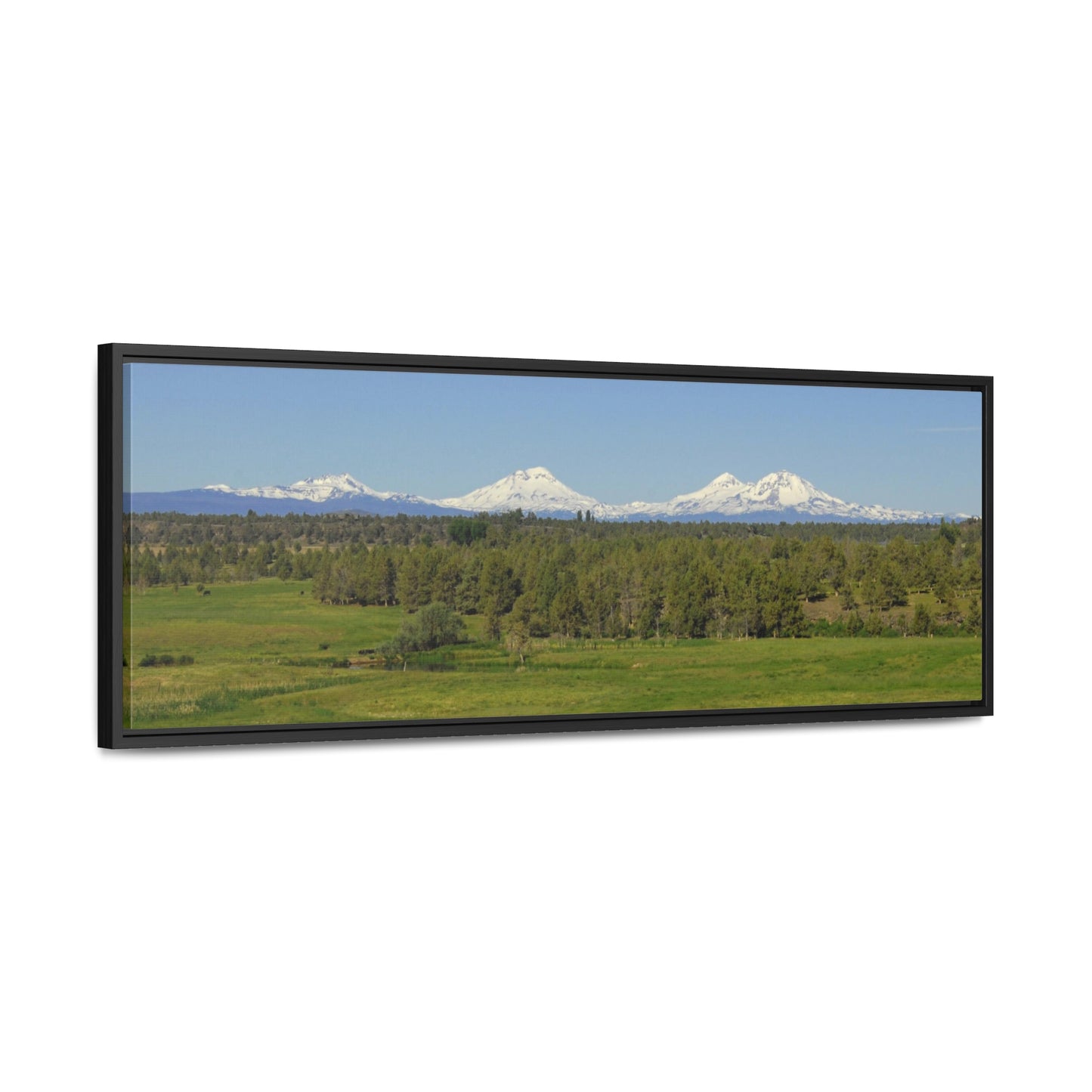 Mountain Meadow Gallery Canvas Wraps Panoramic Framed