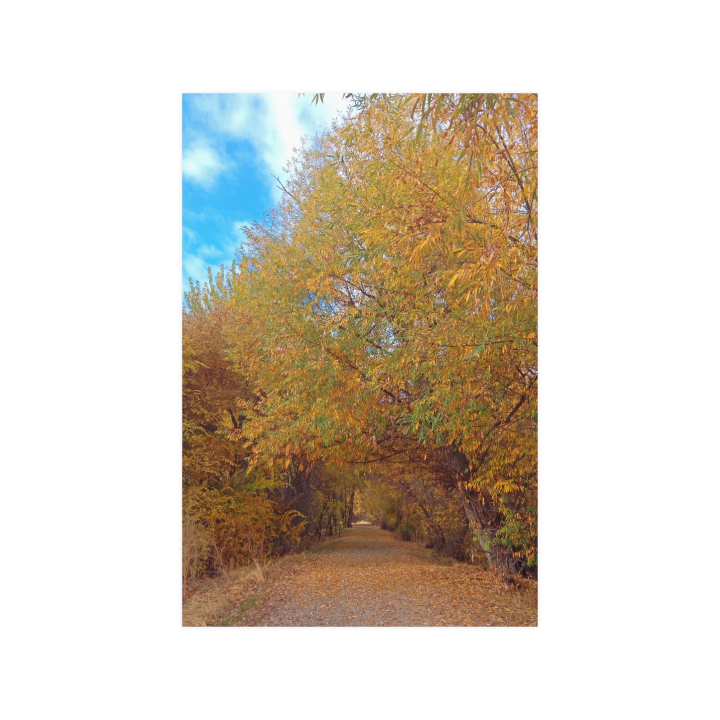 Autumn Path Satin Posters