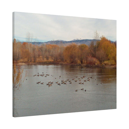 Autumn Pond with Geese Matte Canvas