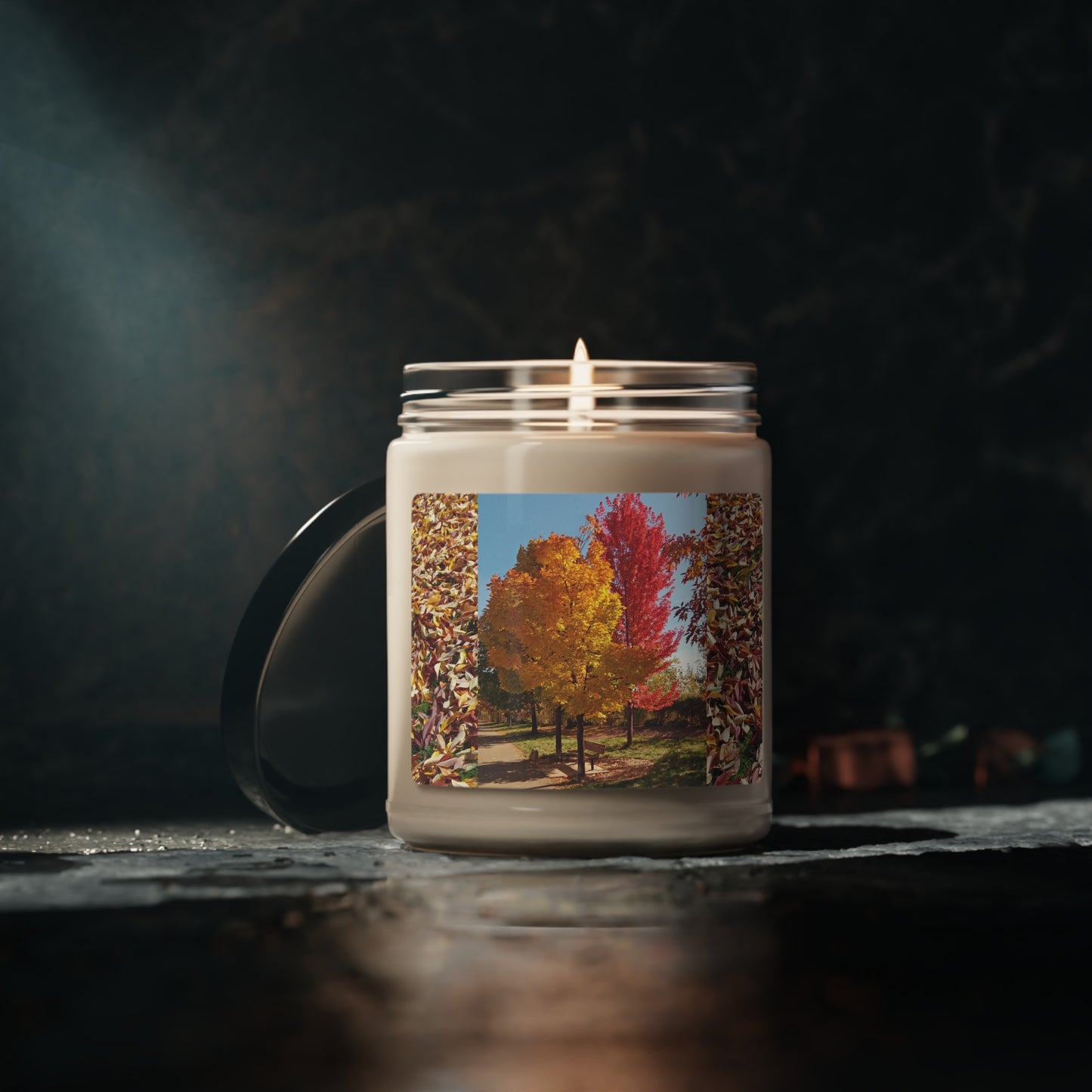 Autumn Bench Scented Soy Candle, 9oz