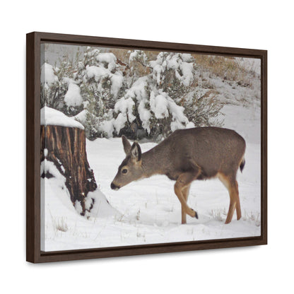 Winter Deer Gallery Canvas Wraps Framed