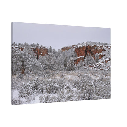 Winter Canyon Matte Canvas