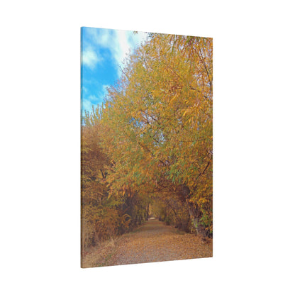 Autumn Path Matte Canvas