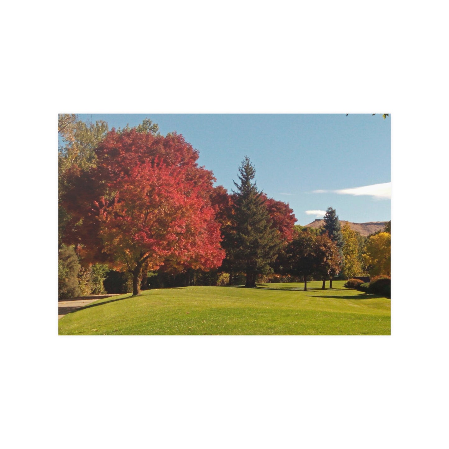 Autumn Lawn Satin Posters