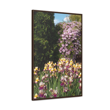 Sunny Iris Garden Gallery Canvas Wraps Framed