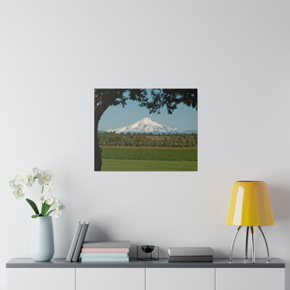 Juniper Framed Mountain Matte Canvas