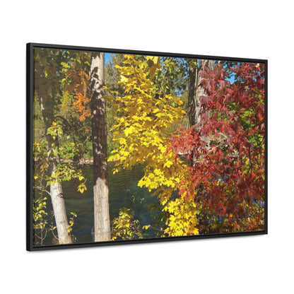 River & Autumn Leaves Gallery Canvas Wraps Framed